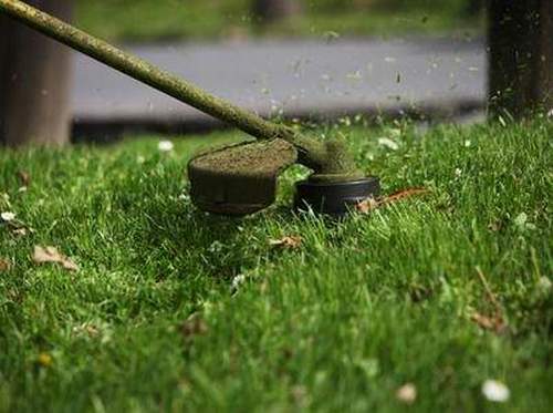 Can I Mow Wet Grass with an Electric Lawn Mower?