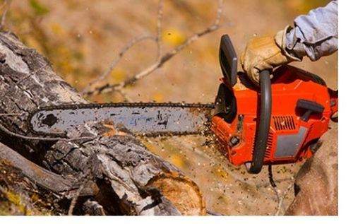 how to adjust idle on a chainsaw