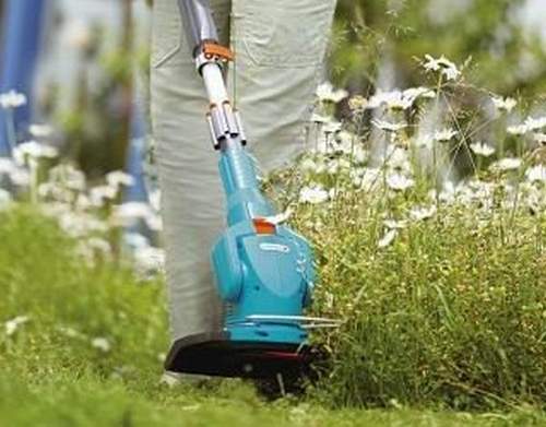 How to Choose a Grass Trimmer