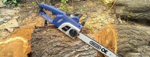 how to cut trees with a chainsaw