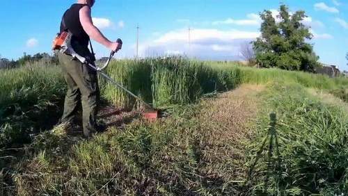 how to use a grass trimmer