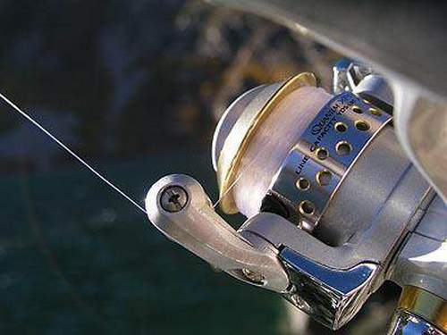 How to Wind a Fishing Line On a Trimmer: Examples and Recommendations