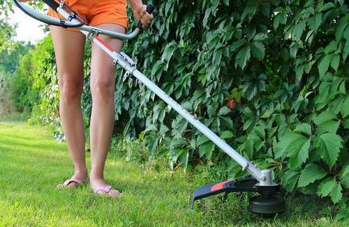 Lawn Mower Or Trimmer Which is Better
