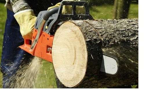 sharpening the chainsaw on the machine