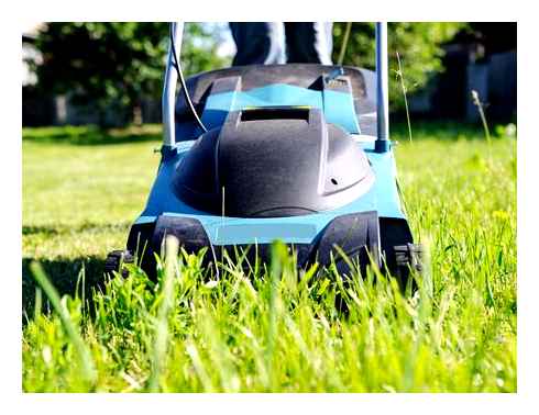 electric, lawnmower, grass