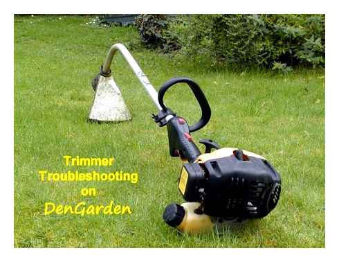 lawn, trimmer, does, start