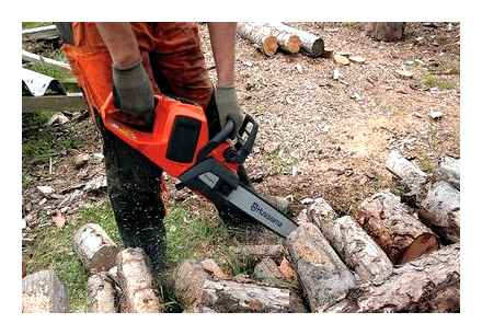 which, chainsaw, choose, preparing, firewood