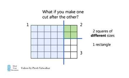 square, cuts, rectangles