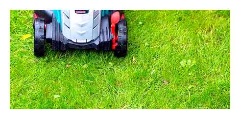 grass, electric, trimmer