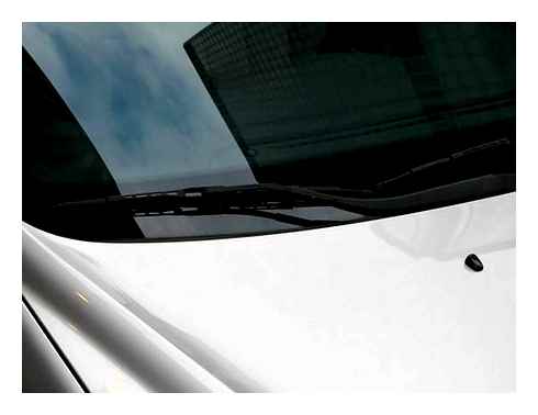 windshield, damaging