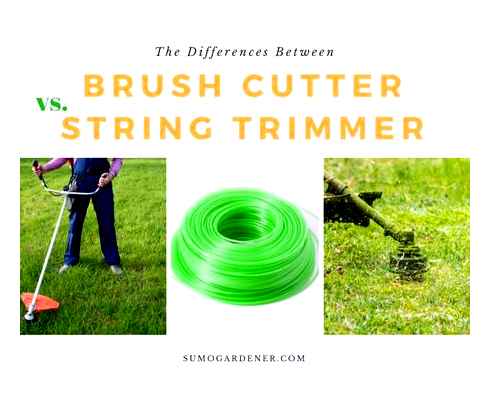 difference, petrol, grass, trimmer, brushcutter