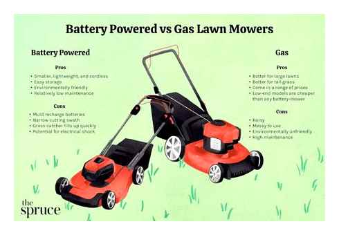 which, lawn, mower, better, electric