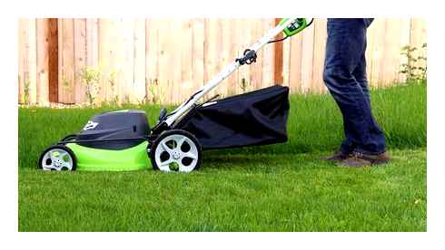 which, mower, better, electric, gasoline
