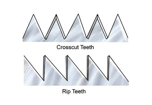 correctly, teeth