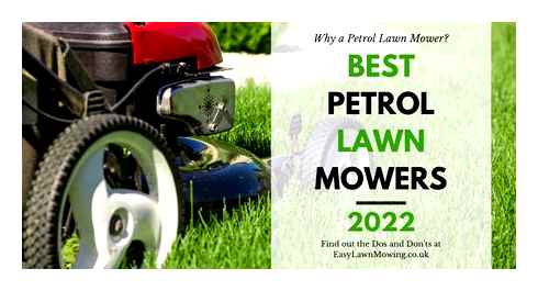 which, petrol, lawn, mower