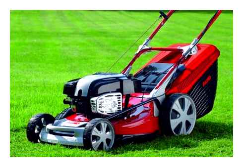 which, lawn, mower, choose