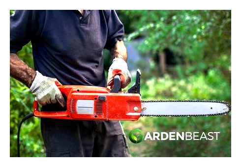 which, electric, chainsaw, best, choice