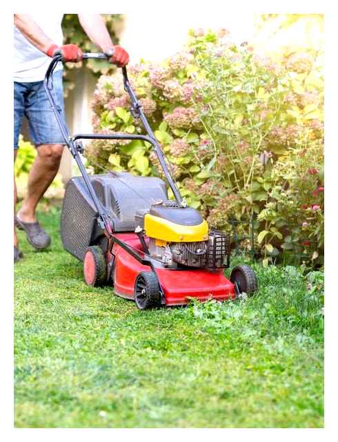 lawn, mower, make, your, hands