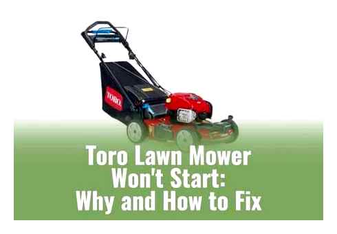lawn, mower, does, start, carburetor