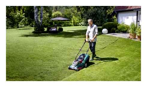 manual, lawn, mowing, which, company, better
