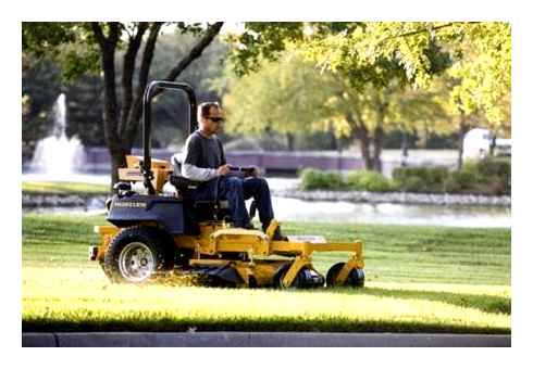 best, riding, lawn, mower, reviews, 2023