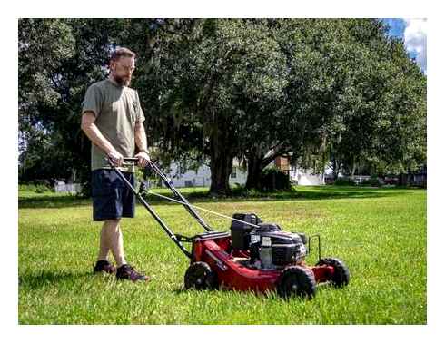 best, self-propelled, lawn, mower