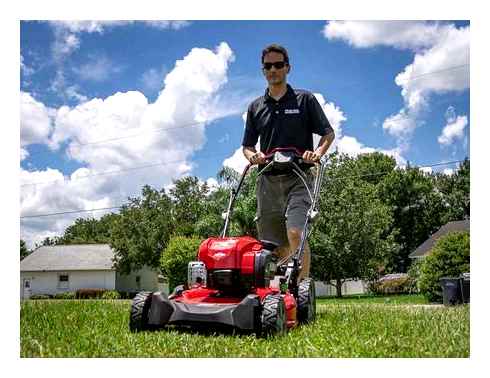 craftsman, m310, self-propelled, lawn, mower