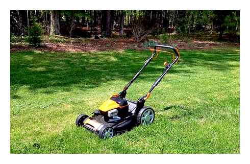 best, self-propelled, lawn, mowers, 2023, tested