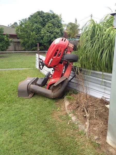 electric, lawn, mower, funny, story, others