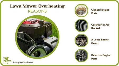 electric, lawn, mower, overheating, reasons, your