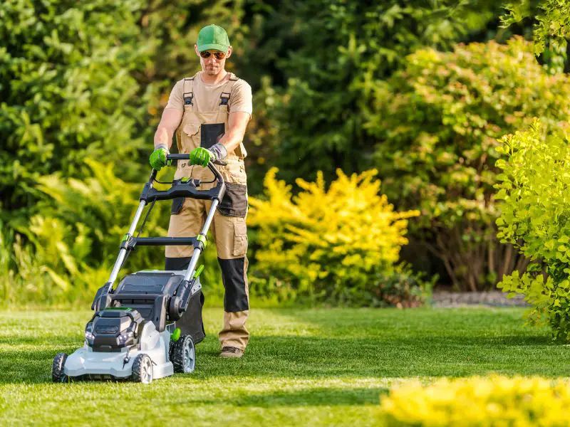 greenworks, commercial, lawn, mower, best, electric