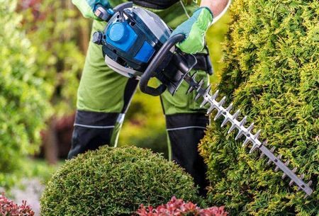 hedge, clippers, lawn, maintenance, trimmers