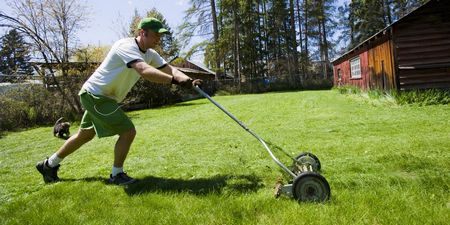 lawn, mower, size, best, reel, your
