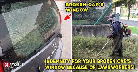 lawn, mower, breaks, window