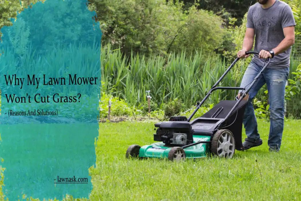 lawn, mower, cutting, problems, common