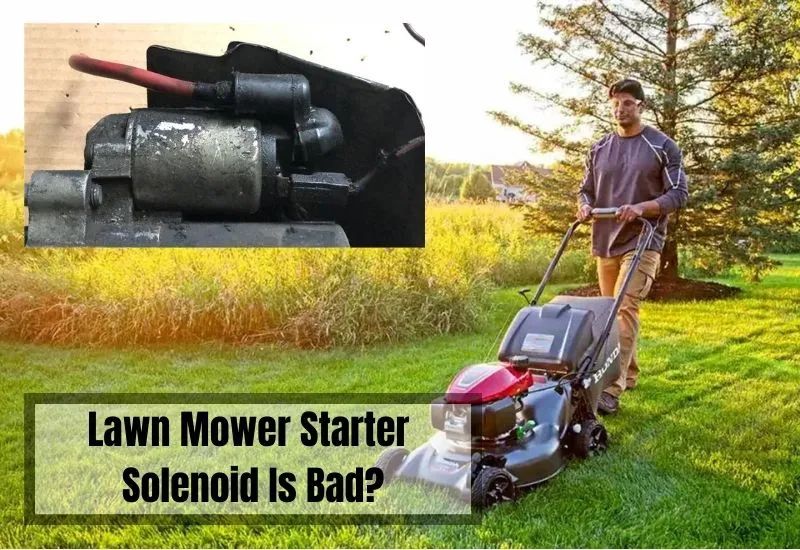 lawn, mower, engine, starter, know