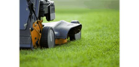 lawn, mower, grass, install, side