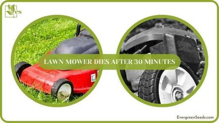 lawn, mower, keeps, stopping, runs, minutes