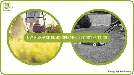 lawn, mower, misses, grass, blade, spinning