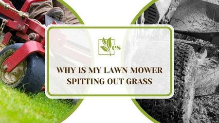 lawn, mower