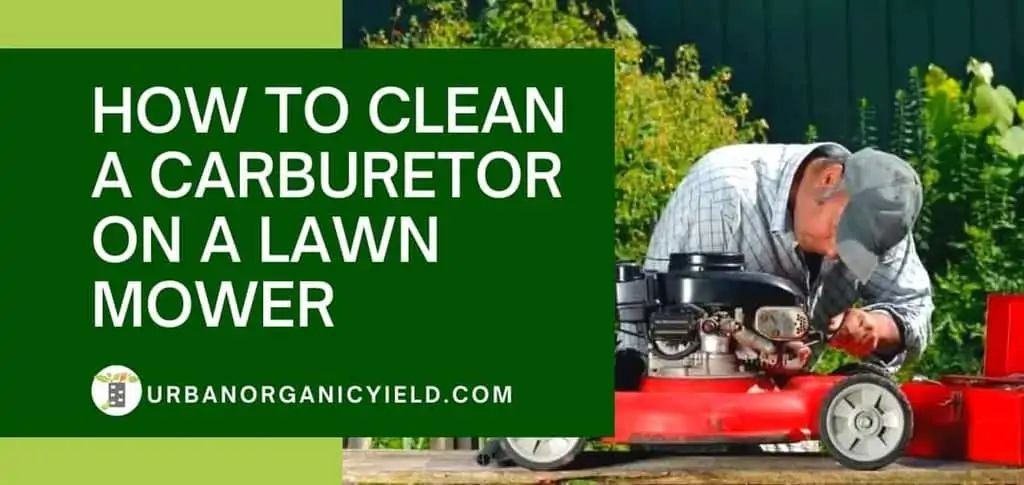 lawn, tractor, carburetor, cleaning, locate, clean