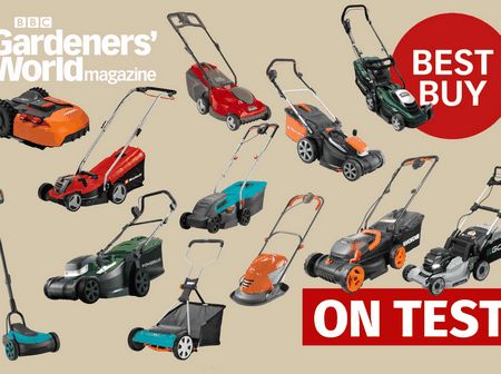 small, electric, push, mower, best