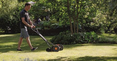 small, portable, lawn, mower, really, good