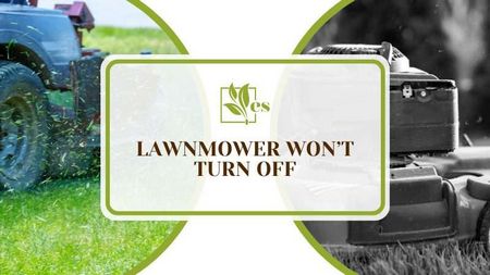 lawn, mower, wont, stop, reasons, your